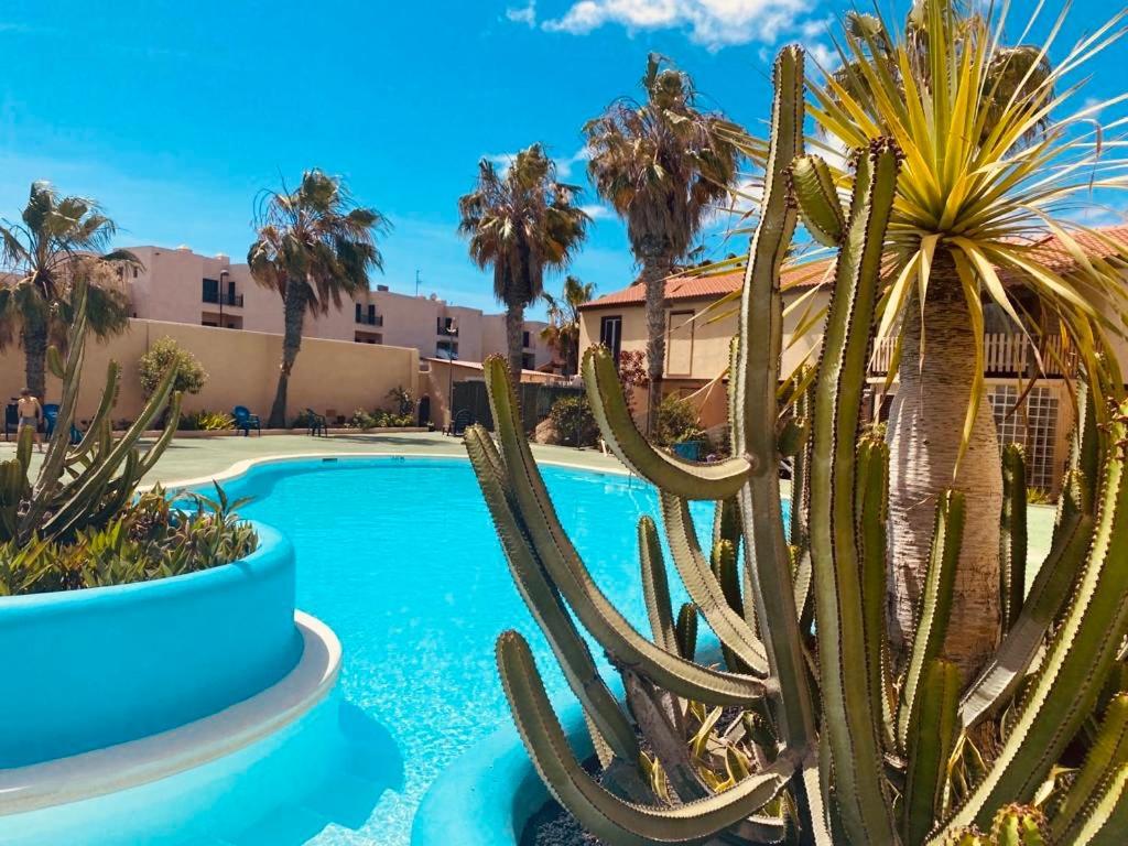 Apartamento Surf And Chill Bungalow 70 Parque Holandes Exterior foto