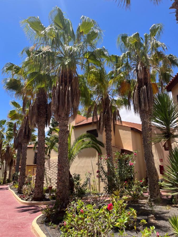 Apartamento Surf And Chill Bungalow 70 Parque Holandes Exterior foto