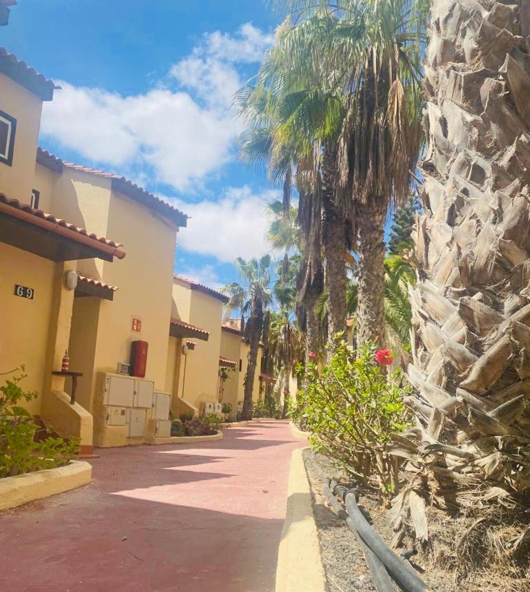 Apartamento Surf And Chill Bungalow 70 Parque Holandes Exterior foto